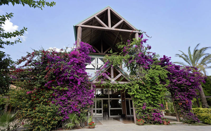 MINERVA CLUB RESORT & SPA - VILLAGGIO MINERVA